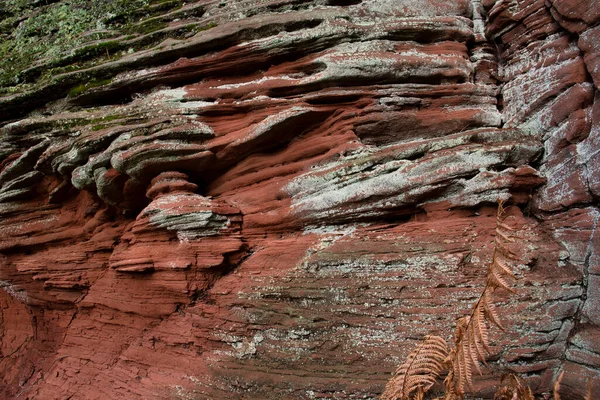 Capas Roca Roja Día Invierno Bosque Palatinado Alemania Cerca Mesa — Foto de Stock