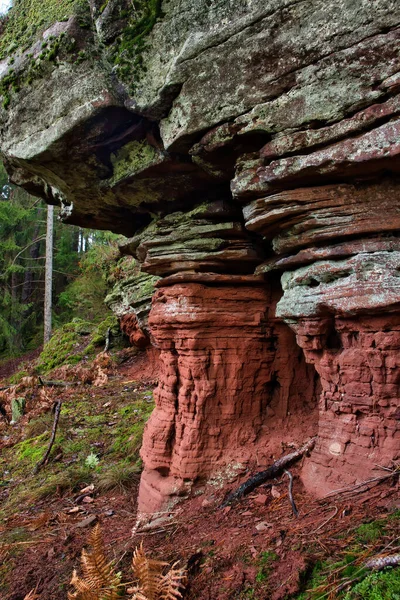 冬の日にドイツのプファルツの森の層で興味深い岩の形成 — ストック写真