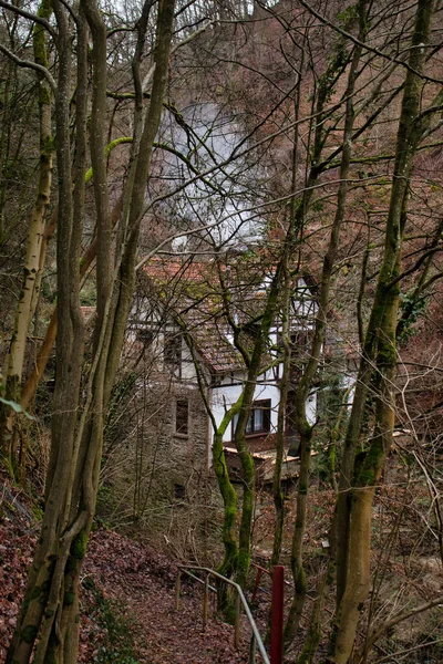 Trechtingshausen Niemcy Stycznia 2021 Mały Domek Lesie Bingen Dymem Wychodzącym — Zdjęcie stockowe