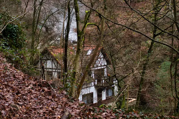 2021年1月2日 ドイツの冬の日にビンゲンの森の木の後ろの小さなコテージ — ストック写真
