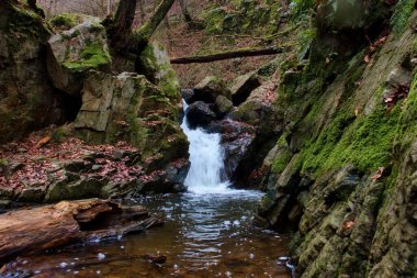 Almanya 'da bir kış günü Bingen Ormanı' ndaki yürüyüş yolunda küçük bir şelalenin üzerinden geçeceğiz..