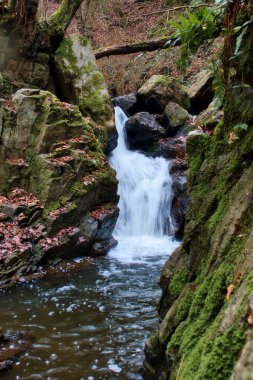 Almanya 'nın Bingen Ormanı' ndaki yosunlu kayalarla çevrili bir derede küçük bir şelalenin üzerinde kütük..