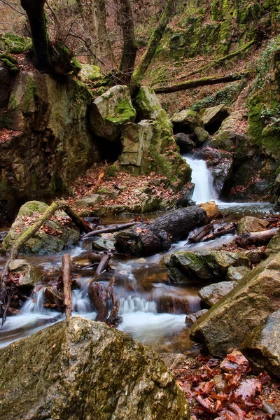 Logs Rochas Riacho Com Uma Pequena Cachoeira Dia Inverno Floresta — Fotografia de Stock