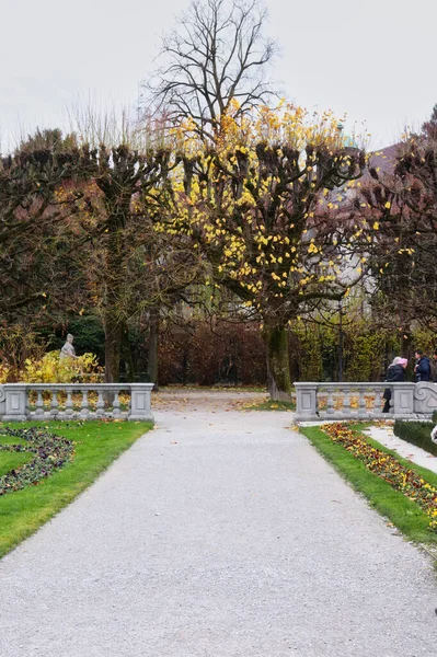 Salcburk Německo Listopadu 2019 Pěší Stezka Vedoucí Stromu Žlutými Listy — Stock fotografie