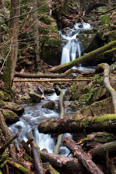 Small waterfall in a stream filled with fallen trees in the Bingen Forest on a winter day in Germany.