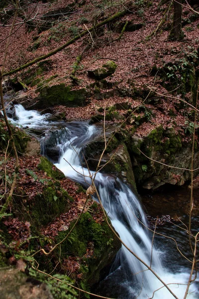 Small Stream Falling Rocks Winter Day Bingen Forest Germany — Stock Photo, Image