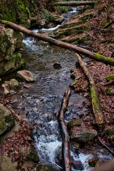 Umgestürzte Baumstämme Und Über Einem Kleinen Bach Bingener Wald Einem — Stockfoto