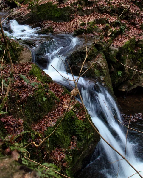 Petit Ruisseau Cascade Entourés Feuilles Mortes Dans Forêt Bingen Allemagne — Photo