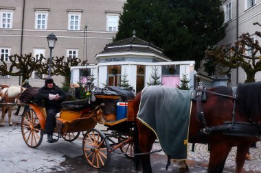 Salzburg, Avusturya - 30 Kasım 2019: Avusturya 'nın Salzburg kentinde soğuk bir sonbahar gününde insanlara at arabasıyla gezdirmeye ara veren adam.