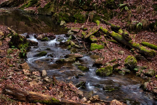 Pequena Ainda Piscina Água Pequeno Riacho Floresta Bingen Alemanha Dia — Fotografia de Stock