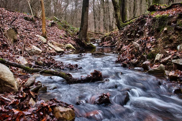 Água Pequeno Riacho Lado Caminho Floresta Bingen Alemanha — Fotografia de Stock