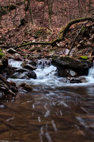 Água Que Flui Sobre Rochas Pequeno Riacho Floresta Bingen Dia — Fotografia de Stock