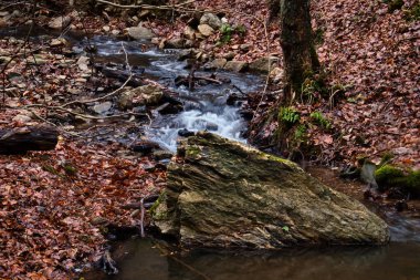Almanya 'da bir kış günü Bingen Ormanı' nda küçük bir derede kayalar..