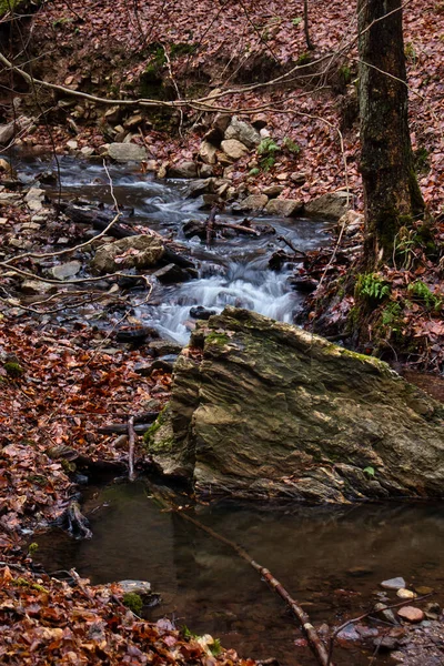 Água Fluindo Córrego Torno Uma Rocha Dia Inverno Floresta Bingen — Fotografia de Stock