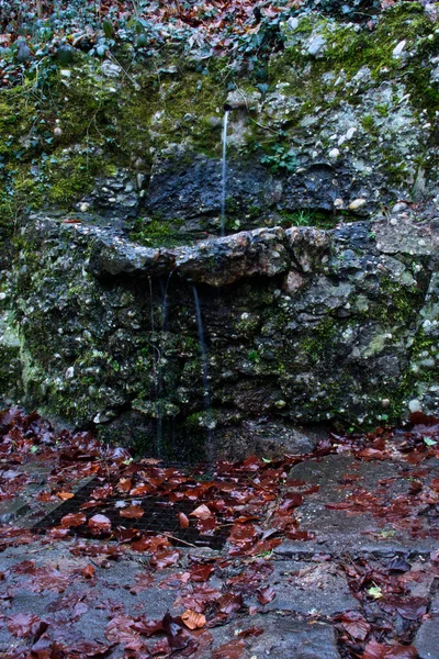 ドイツの旧ウォルフシュタイン城跡の岩壁のパイプから出てくる水 — ストック写真