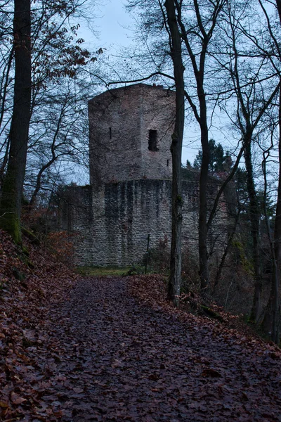 독일의 2021 독일의 어두운 오후에 슈타인 성으로 인도하는 — 스톡 사진