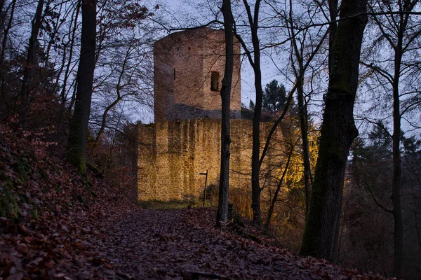 독일의 2021 슈타인 성으로 잎으로 독일에서 저녁에 빛났다 — 스톡 사진