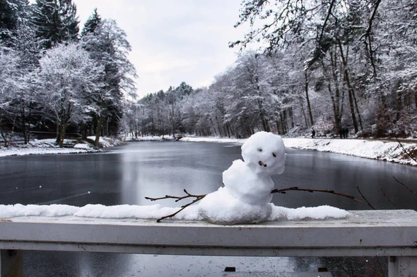 ドイツの寒い雪の多い冬の日にシュヴァルツヴァイヤーの池のそばの手すりの上の小さな雪だるま — ストック写真