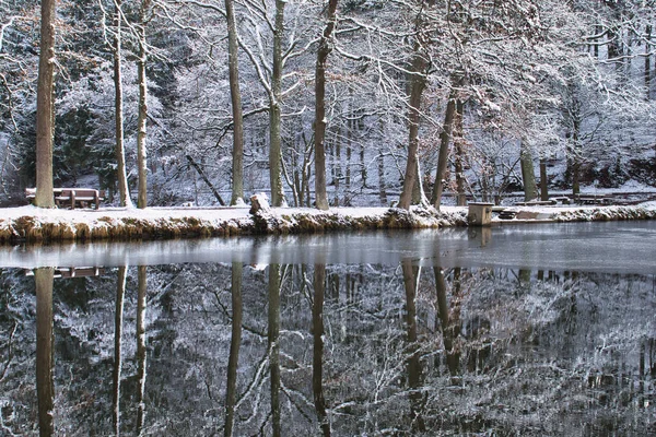 Δέντρα Καλυμμένα Χιόνι Και Αντανακλάσεις Τους Στο Νερό Αρχίζουν Παγώνουν — Φωτογραφία Αρχείου