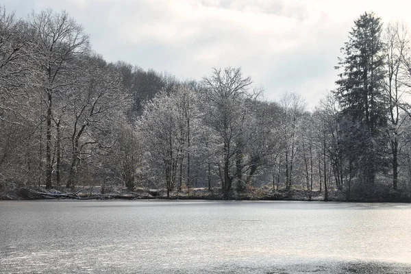 Δέντρα Ελαφρά Καλυμμένα Χιόνι Και Παγετό Γύρω Από Μια Λίμνη — Φωτογραφία Αρχείου