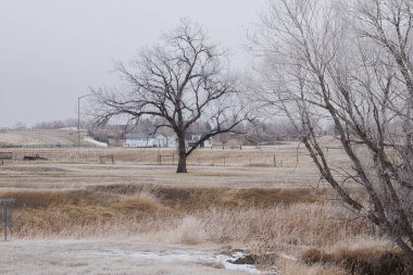 Gillette, Wyoming - January 25, 2021: Lone tree in a field on a cold winter day near Dalbey Memorial Park in Gillette, Wyoming.