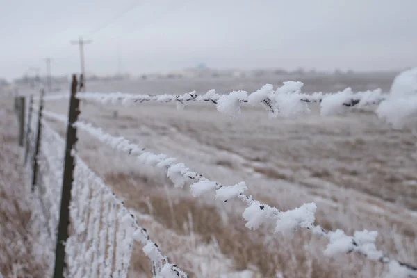 White ice and snow covering a barbed wire fence on a cold winter day in Gillette, Wyoming.