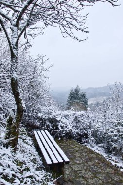 Bench and trees covered in snow on a winter day at the Falkenstein Castle ruins in Rheinland Pfalz, Germany.