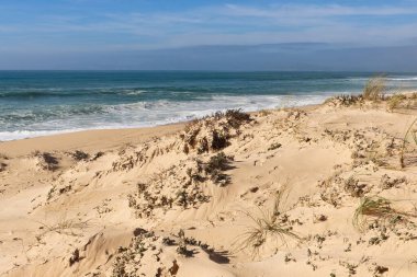 Sandy beach with grass and plants next to the Atlantic Ocean on a warm winter day near Lisbon, Porgual.