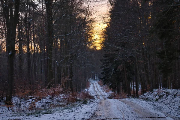 ドイツの冬の午後 オレンジ色の空の下で雪に覆われたPalatinate Forestの道 — ストック写真