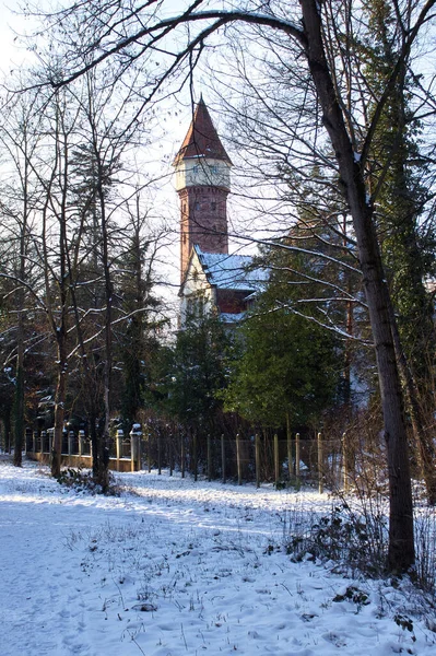 Karlsruhe Německo Února 2021 Věž Karlsruhe Paláce Studeného Sněhového Zimního — Stock fotografie