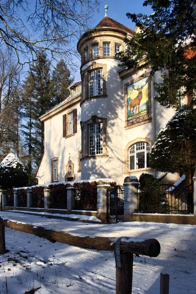 Karlsruhe Německo Února 2021 Bílý Dům Jeleny Namalovanými Něm Poblíž — Stock fotografie