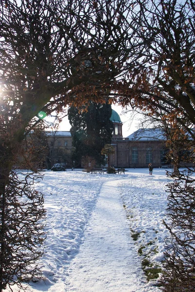 Karlsruhe Almanya Şubat 2021 Almanya Bir Kış Günü Karlsruhe Sarayı — Stok fotoğraf