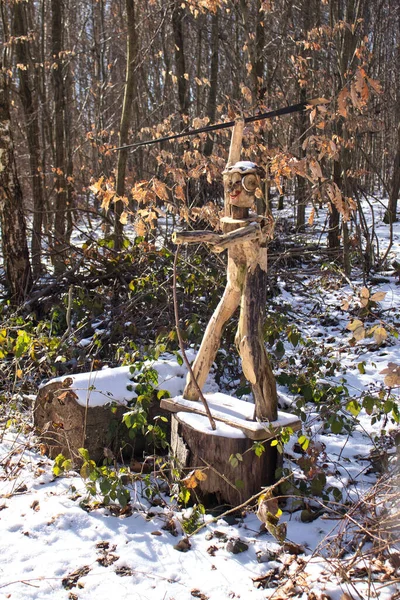 독일의 윈바일러 2021 겨울날 의나무 줄기에 여자의 — 스톡 사진