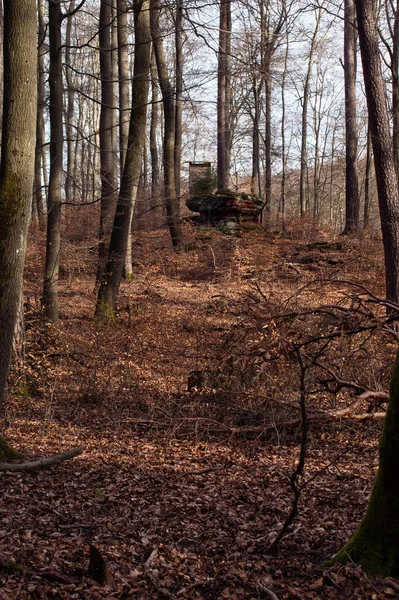 Большая Скала Перед Охотничьим Стендом Холме Покрытом Листьями Пфальцском Лесу — стоковое фото