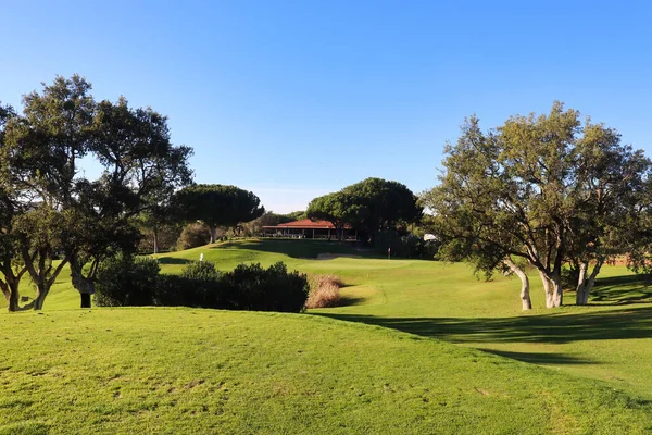 Carvoeiro Portugal December 2019 Green Grass Trees Gramacho Golf Course — Stock Photo, Image