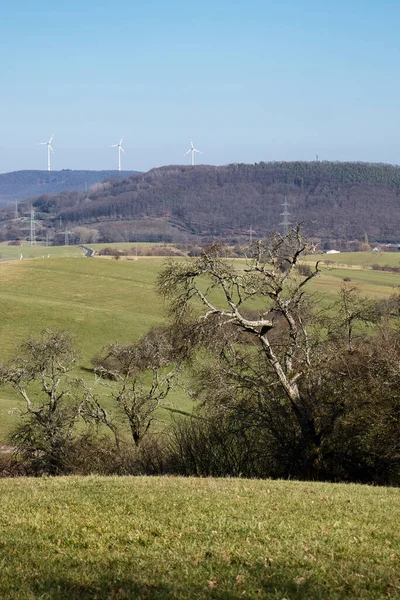 Árvore Uma Colina Perto Potzbach Alemanha Com Turbinas Eólicas Distância — Fotografia de Stock