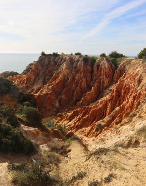 Güneşli bir kış gününde, güney Portekiz 'deki Yedi Asılı Vadi yürüyüş yolunda, kireçtaşından bir uçurumun kenarında..