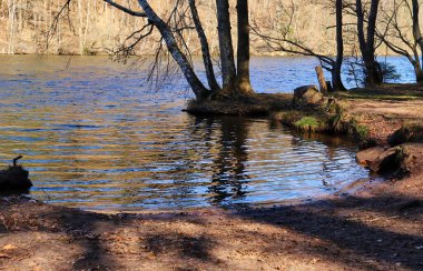 Almanya 'nın Erlenbach kentindeki Seehof Gölü civarındaki topraklar güneşli bir kış günü.