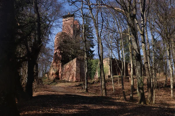 Erlenbach Duitsland Maart 2021 Bomen Rond Burg Berwartsetin Een Kasteel — Stockfoto