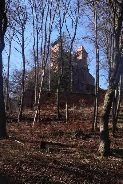 Erlenbach Γερμανία Μαρτίου 2021 Κάστρο Berwartstein Ένα Λόφο Πίσω Από — Φωτογραφία Αρχείου