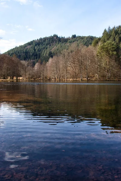 Ondulaciones Agua Lago Helmbachweiher Con Una Montaña Fondo Día Invierno — Foto de Stock