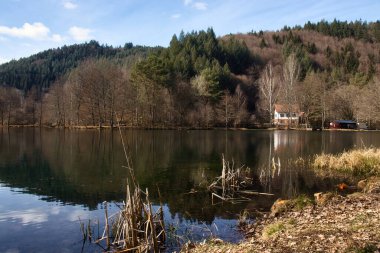 Rhineland Palatinate, Almanya - 8 Mart 2021: Beyaz Saray, dağlar ve ağaçlar Helmbachweiher Gölü, Almanya 'nın Palatinate Ormanı' nda güneşli bir kış gününde.