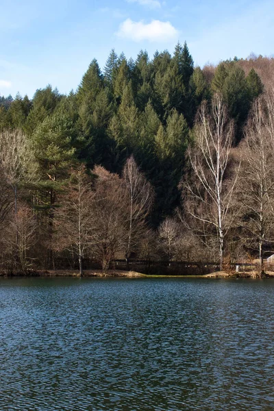 Bäume Auf Einem Hügel Hinter Blauem Wasser Helmbachweiher Einem See — Stockfoto