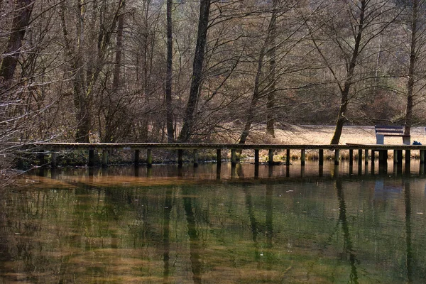 Puente Sobre Lago Helmbachweiher Bosque Del Palatinado Alemania Día Invierno — Foto de Stock