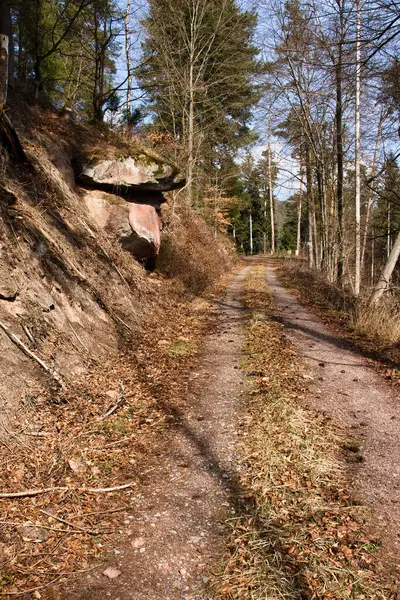Heuvel Met Een Rots Naast Een Wandelpad Het Pfalz Woud — Stockfoto