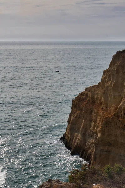 Dauphins Nageant Dans Océan Atlantique Côté Falaises Calcaires Long Des — Photo