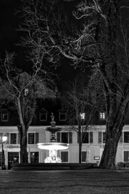 Kaiserslautern, Almanya - 16 Mart 2021: St. Martin 's Fıskiyesi, Almanya' nın Kaiserslautern kentindeki St. Martin Meydanı 'ndaki iki ağaç arasında bir kış gecesi.
