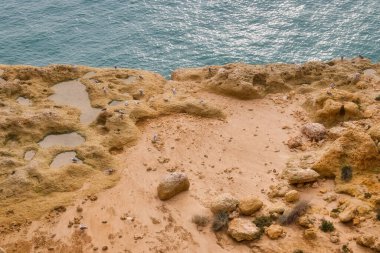 Güney Portekiz 'de bir kış günü, yedi sarkık vadi patikasında, okyanusun kenarında çamur ve suyla birlikte, kireçtaşı bir uçurumun kenarındaki kuşlar..