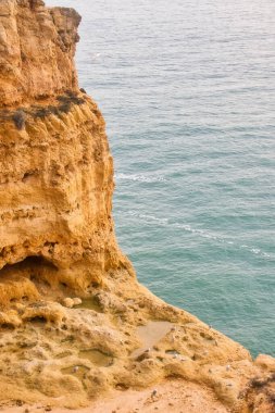 Güney Portekiz 'de bir kış günü, yedi sarkık vadi patikasında, okyanusun yanındaki kireçtaşı kayalıklarda kuşlar..