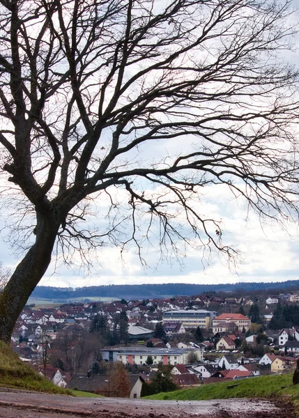 2021年3月17日 ドイツの曇りの冬の日を背景に ウィナーライラーの町のある丘の上の木 — ストック写真
